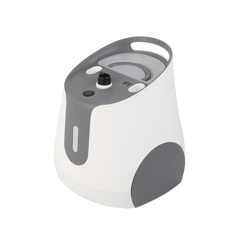 Mini vaporizador de ropa con soporte de diseño, varillas dobles para el hogar, 1800w, nuevo